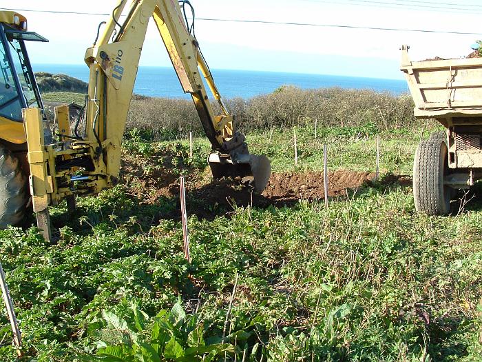 4 Digging Starts (10)